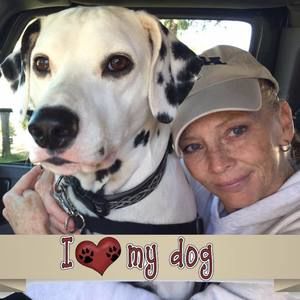 Meet your Posher, Shelley